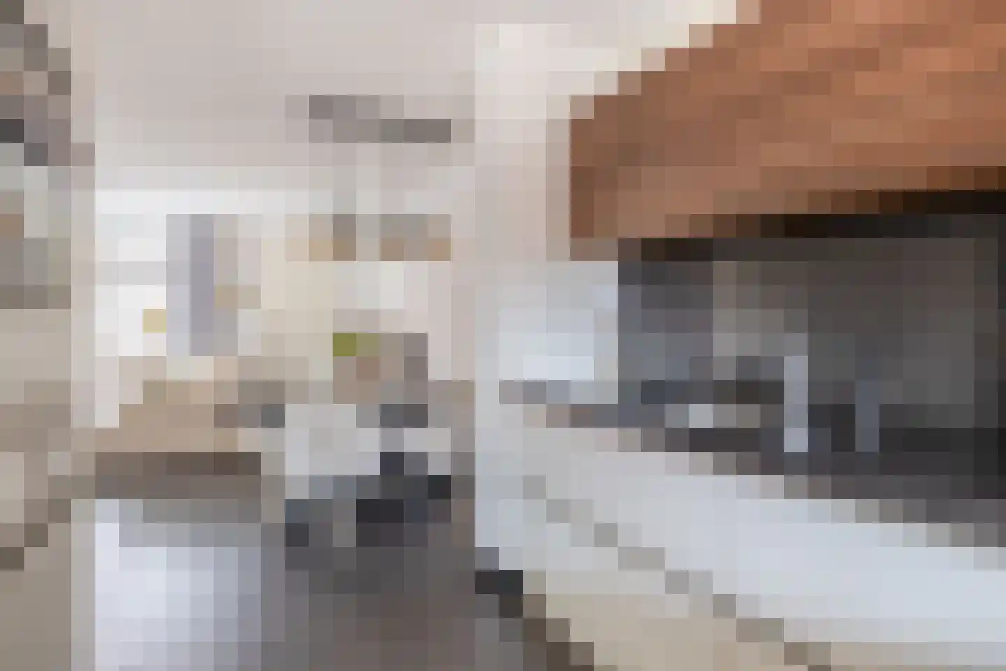 Haagsestraat 10 Stellendam thumbnail 13