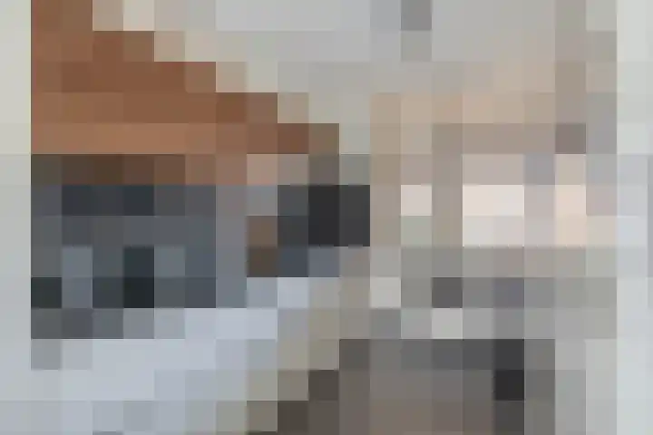 Haagsestraat 10 Stellendam thumbnail 13