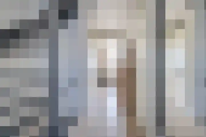 Haagsestraat 10 Stellendam thumbnail 16