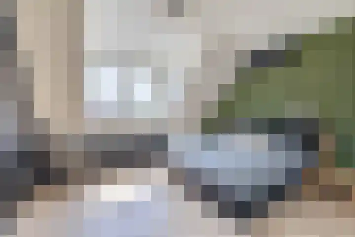 Haagsestraat 10 Stellendam thumbnail 17
