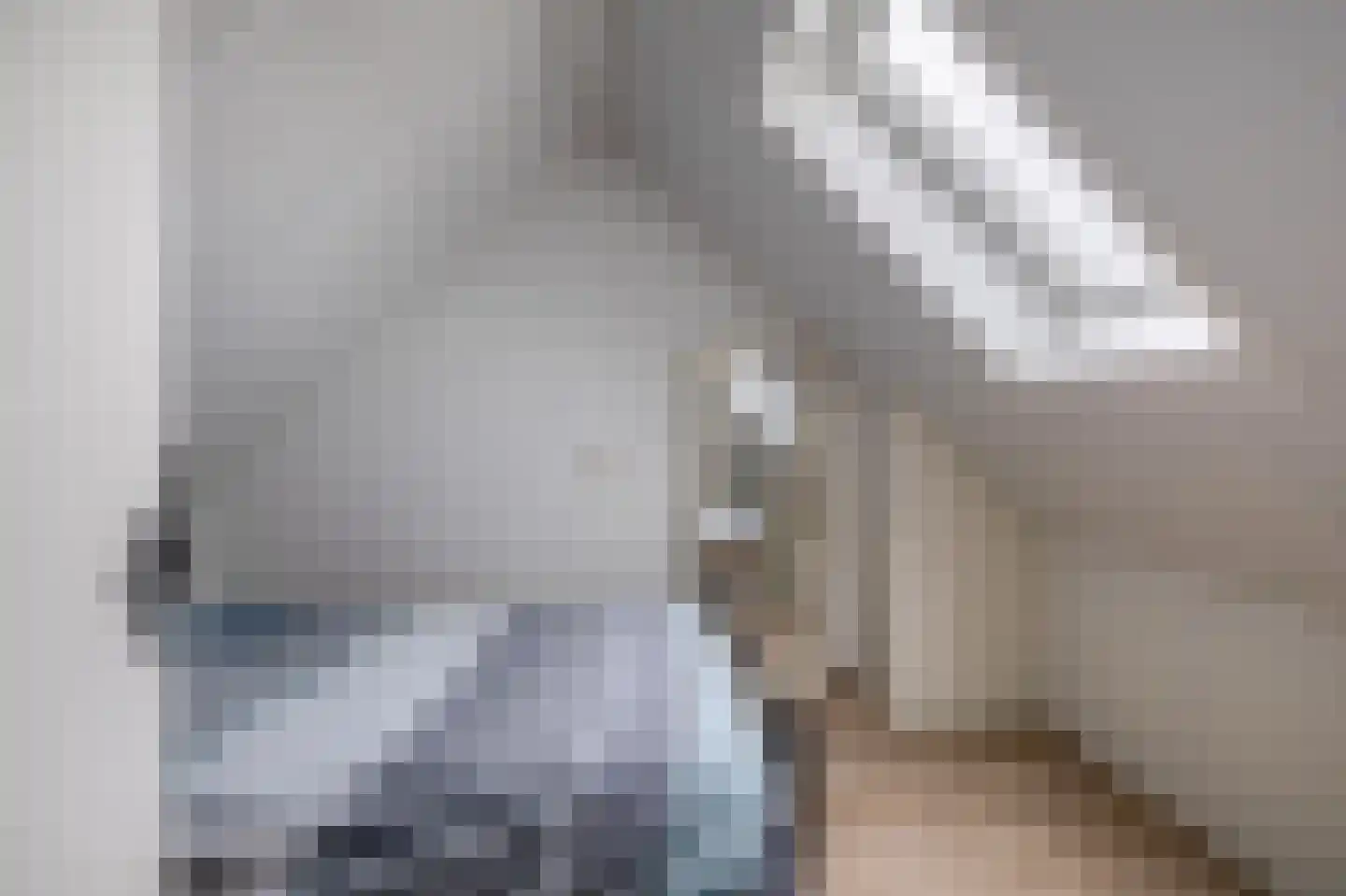 Haagsestraat 10 Stellendam thumbnail 25