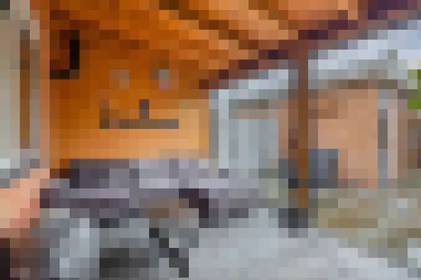 Haagsestraat 10 Stellendam thumbnail 28
