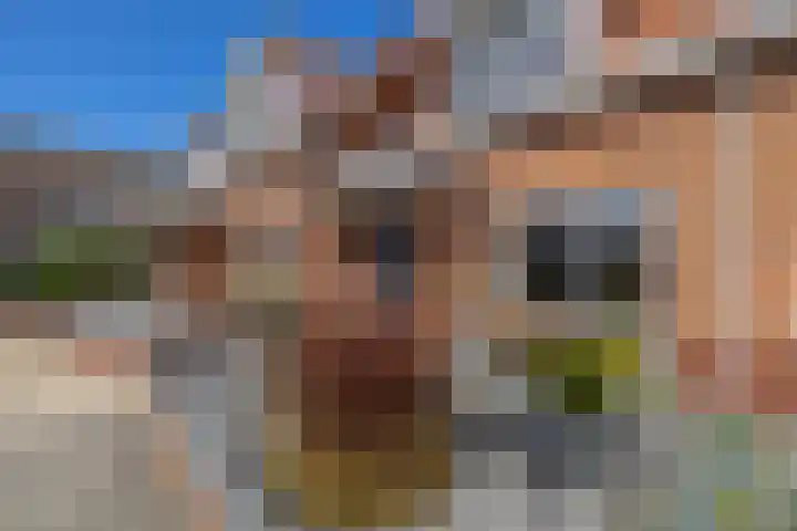 Haagsestraat 10 Stellendam thumbnail 5