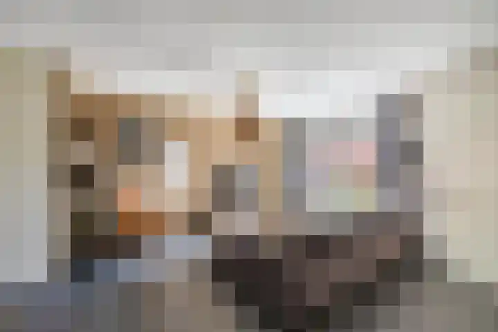 Haagsestraat 10 Stellendam thumbnail 8