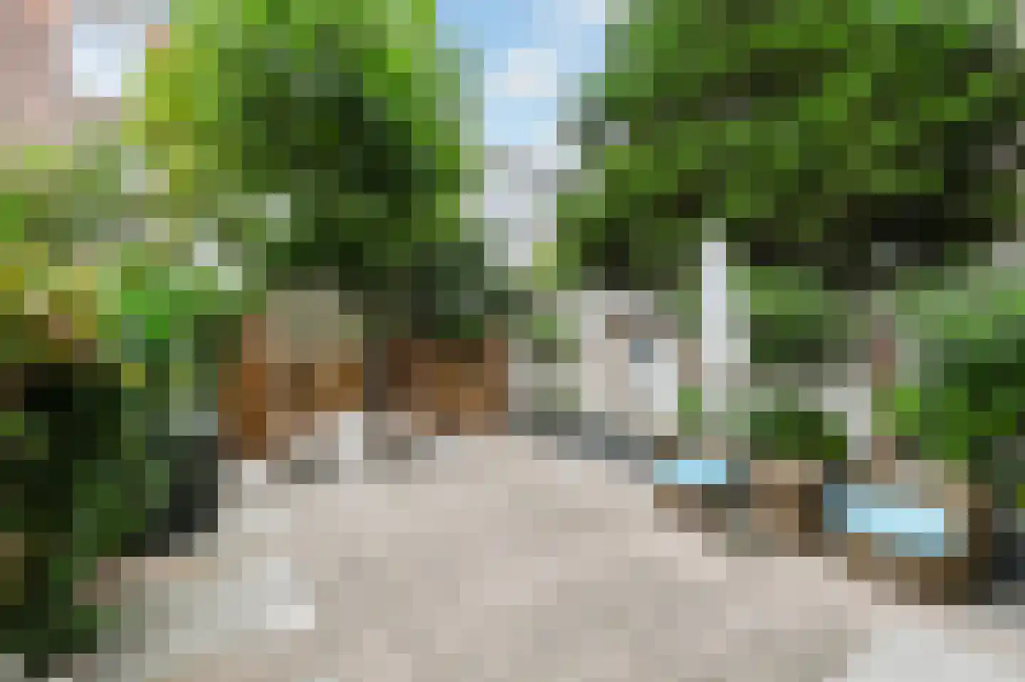 Haagsestraat 22 Den Haag thumbnail 31