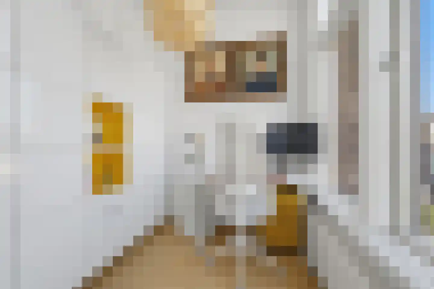Haagsestraat 5 Den Haag thumbnail 15