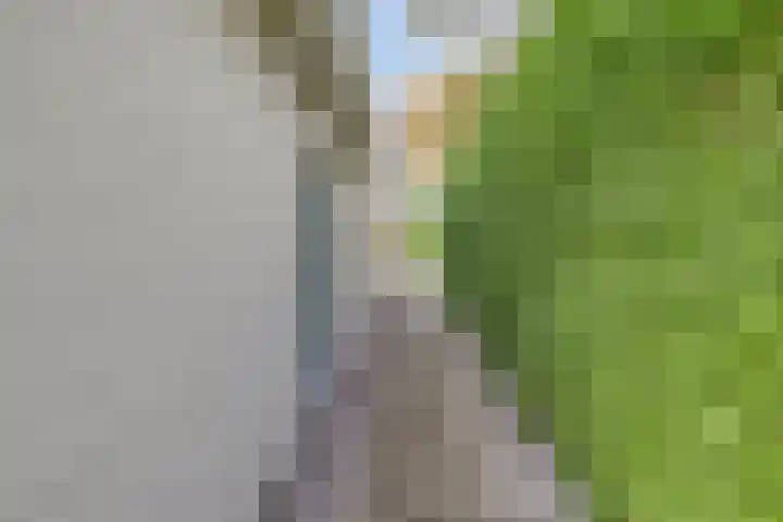 Haagsittarderweg 25 Sittard thumbnail 31