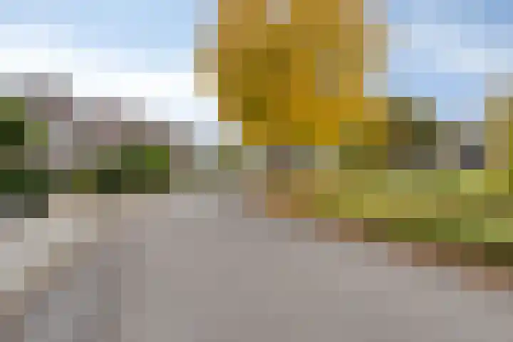 Haagsittarderweg 25 Sittard thumbnail 36