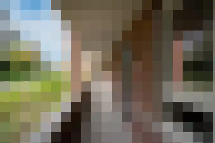 Haagstede 121 Maarssen thumbnail 15