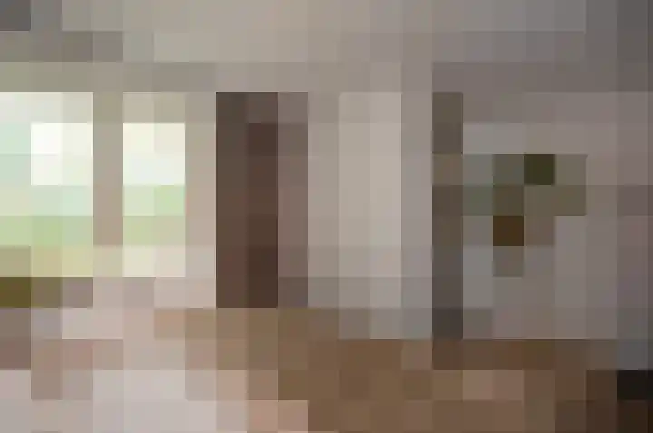 Haagstede 121 Maarssen thumbnail 22