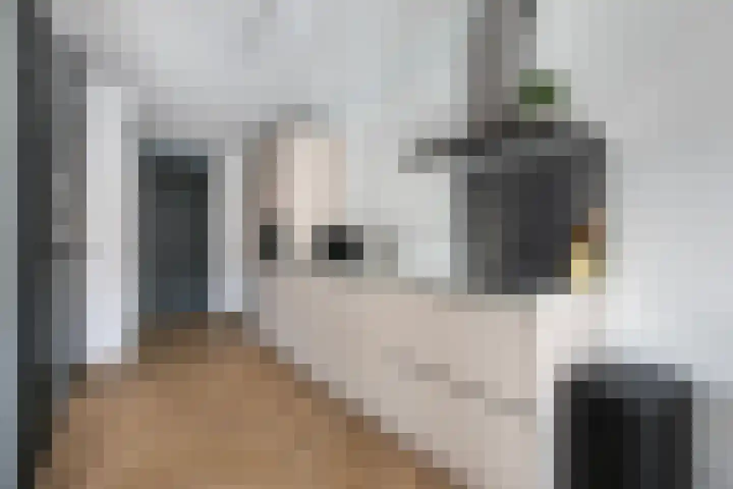 Haagstede 145 Maarssen thumbnail 8