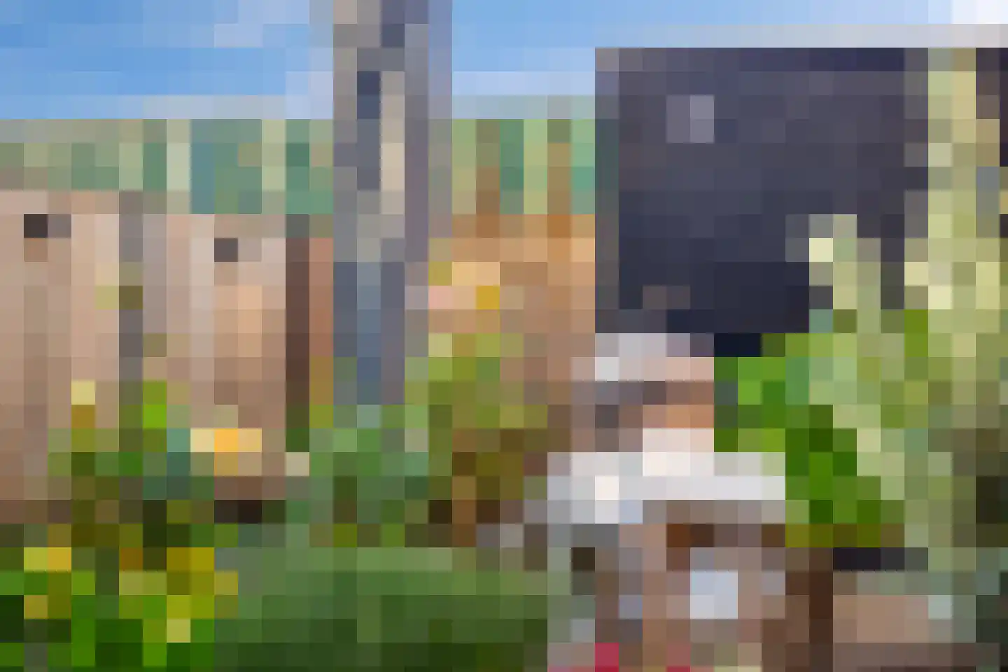 Haagstede 37 Maarssen thumbnail 33