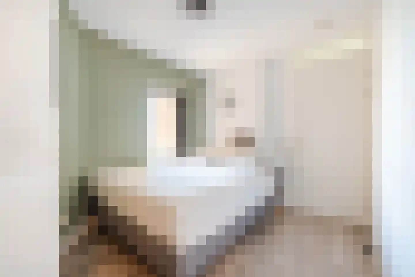Haagsteeg 3 Valkenswaard thumbnail 18