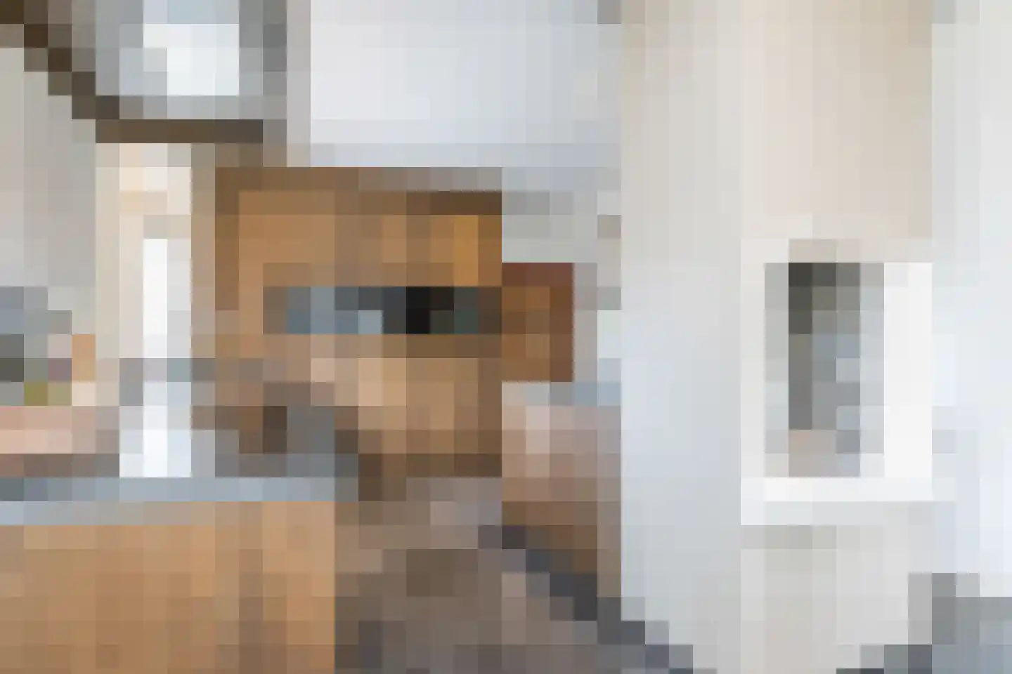 Haagstraat 5 Schimmert thumbnail 11