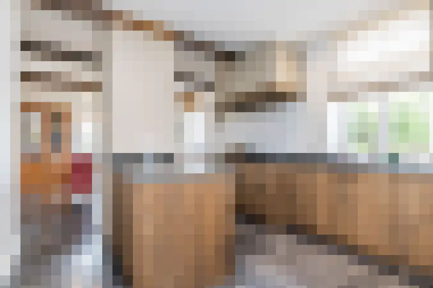 Haagstraat 5 Schimmert thumbnail 12