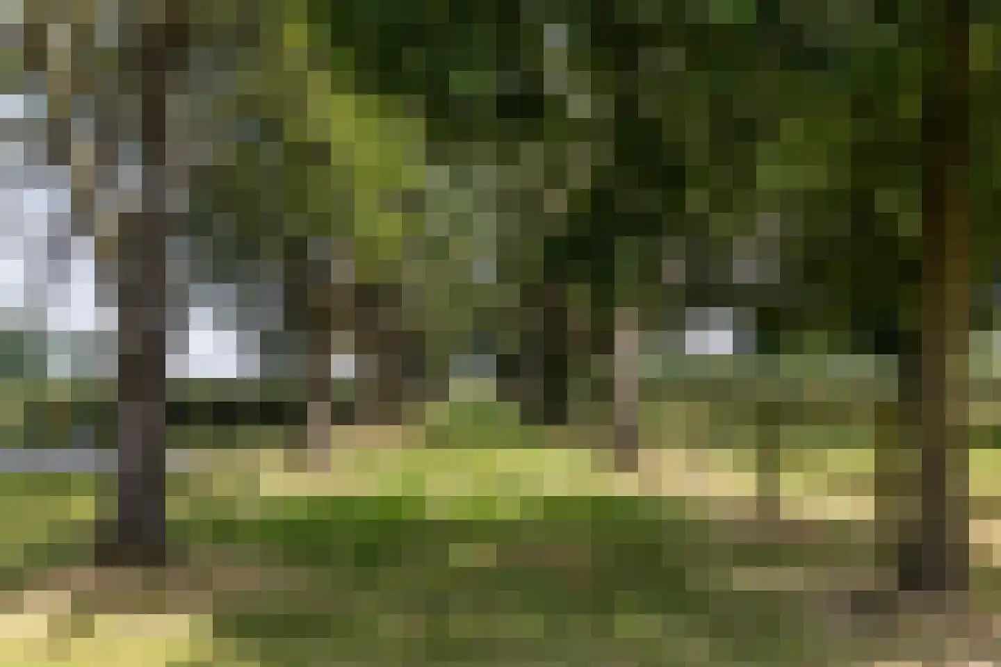 Haagstraat 5 Schimmert thumbnail 4