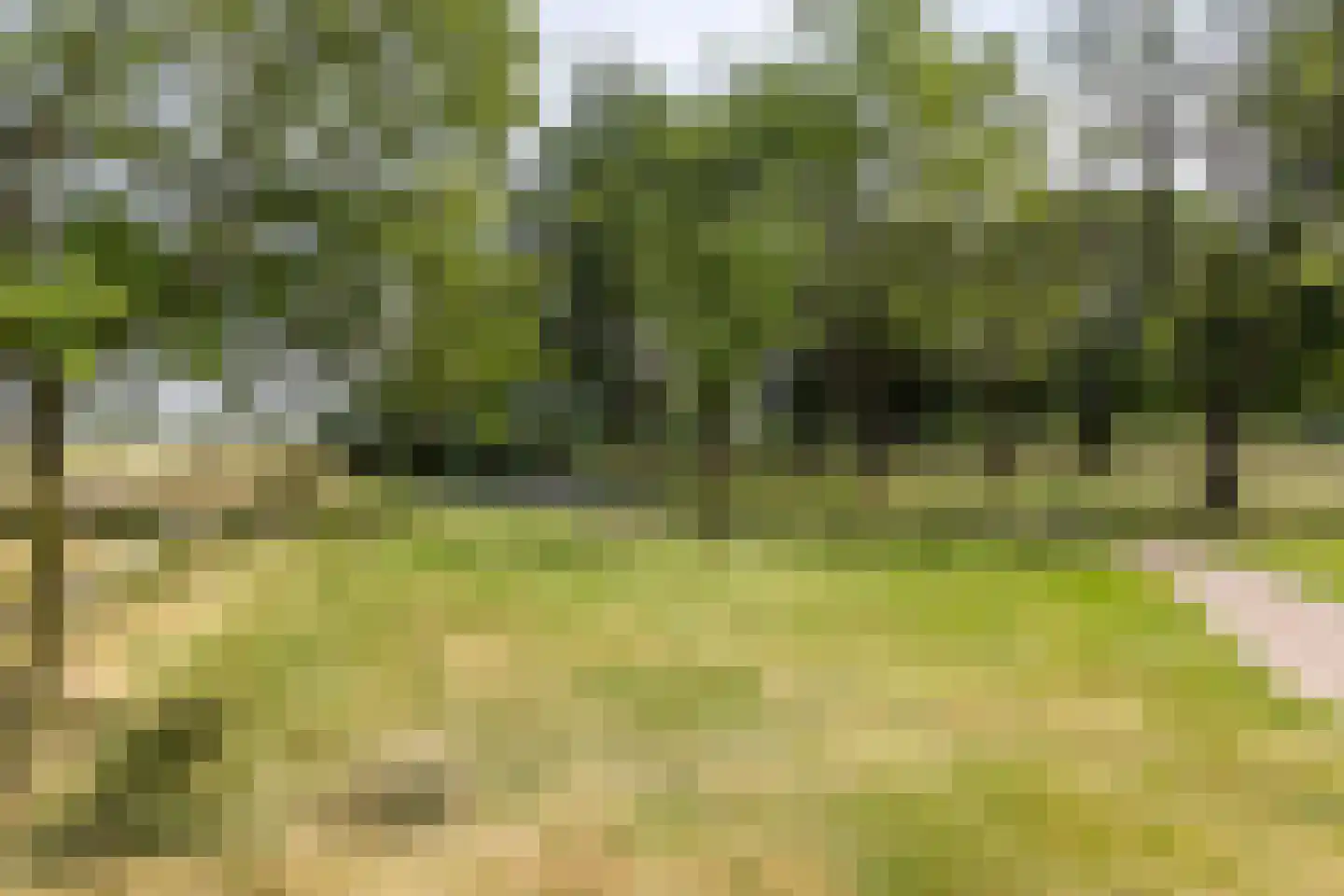 Haagstraat 5 Schimmert thumbnail 41