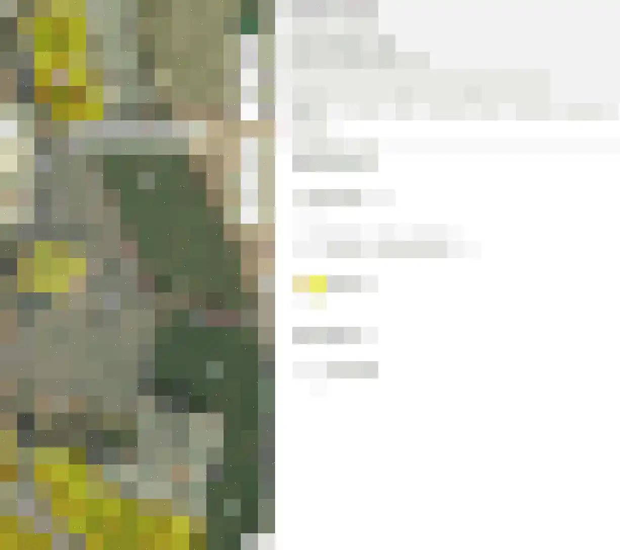 Haagstraat 5 Schimmert thumbnail 44