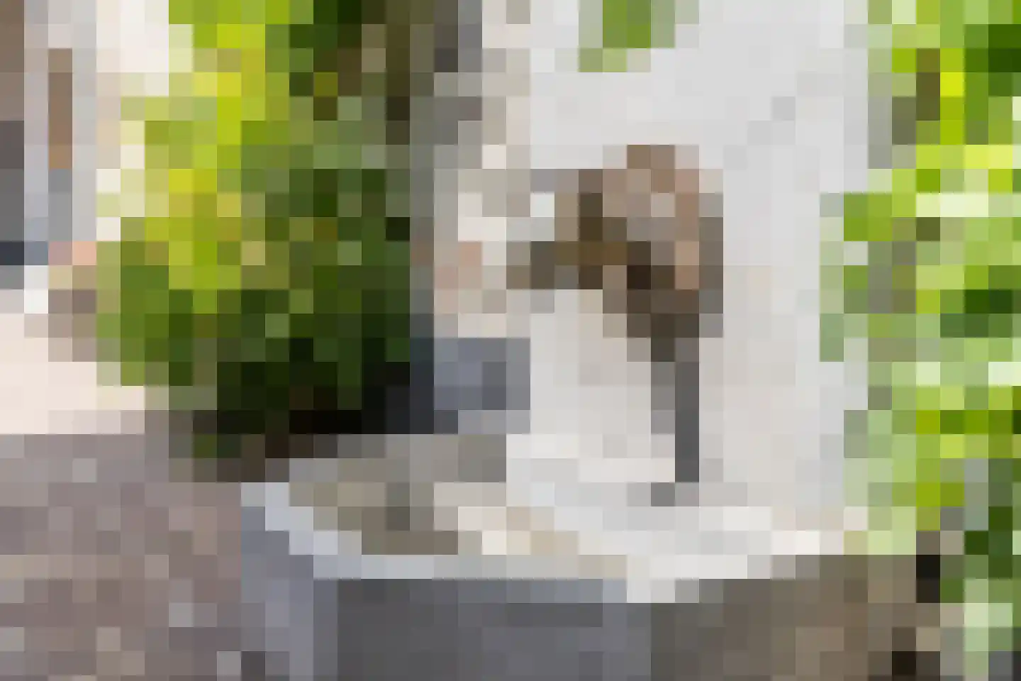 Haagstraat 5 Schimmert thumbnail 7