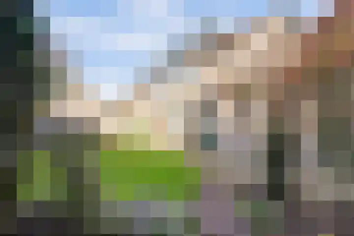 Haagstraat 66 Beuningen Gld thumbnail 30