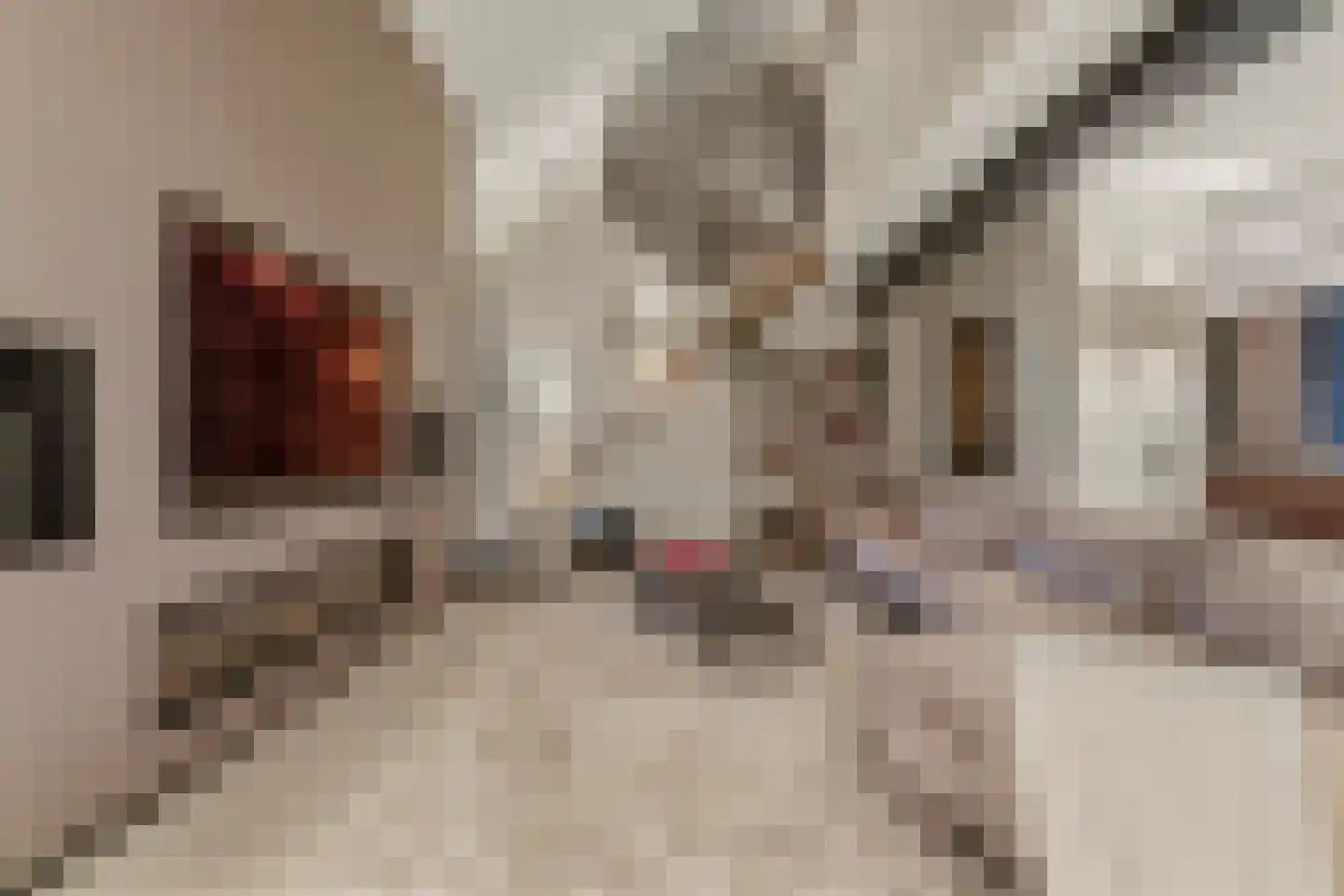 Haagstraat 7 Beuningen Gld thumbnail 44