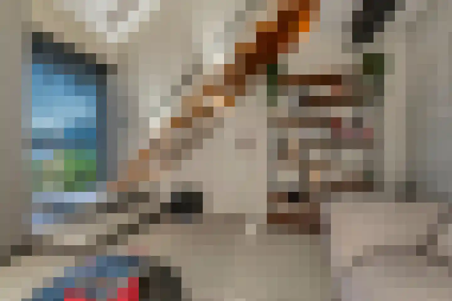 Haagstraat 7 Beuningen Gld thumbnail 50