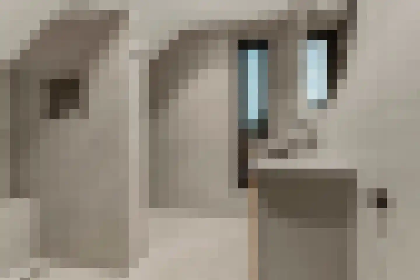 Haagstraat 7 Beuningen Gld thumbnail 64