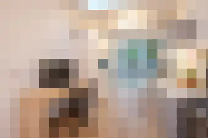 Haagweg 101 Rijswijk thumbnail 15
