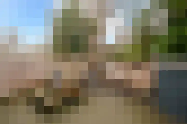 Haagweg 101 Rijswijk thumbnail 19