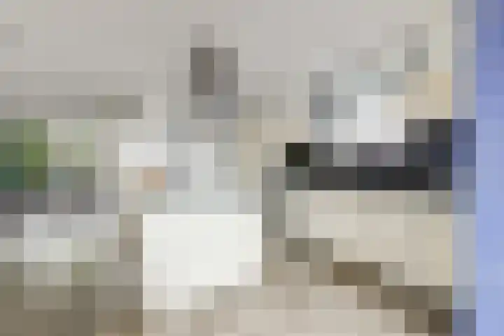 Haagweg 105 Monster thumbnail 10