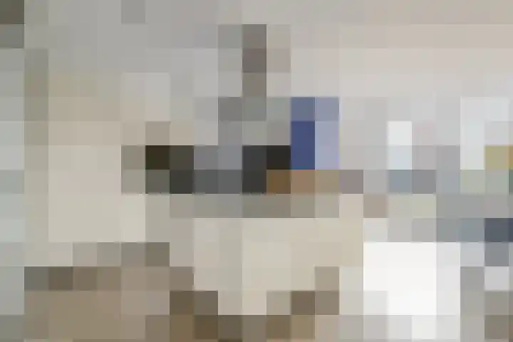 Haagweg 105 Monster thumbnail 12