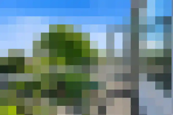 Haagweg 115 Monster thumbnail 34