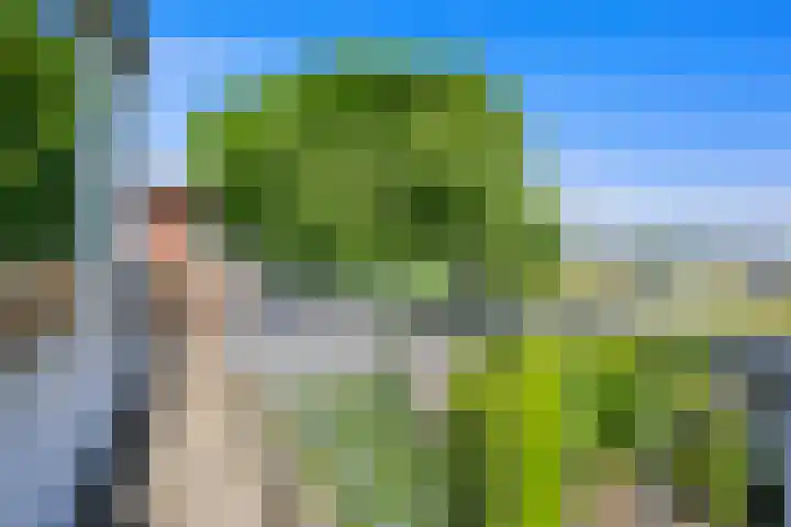 Haagweg 115 Monster thumbnail 35