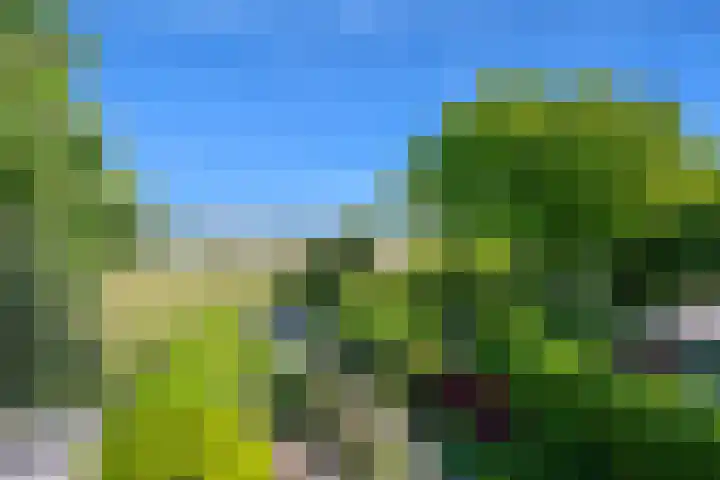 Haagweg 115 Monster thumbnail 36