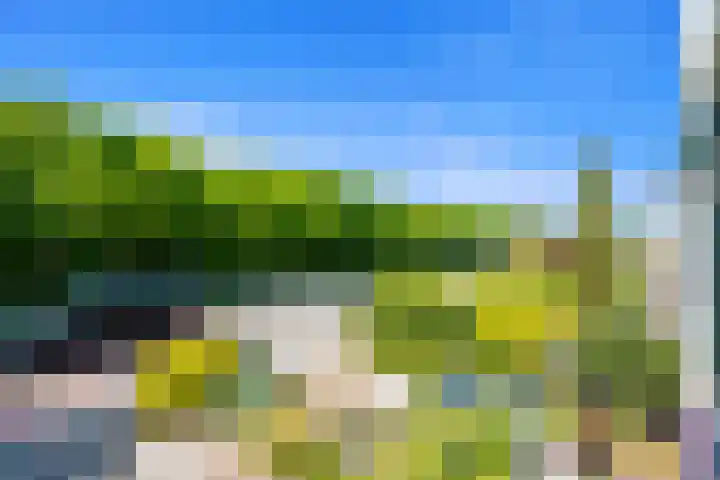 Haagweg 115 Monster thumbnail 43