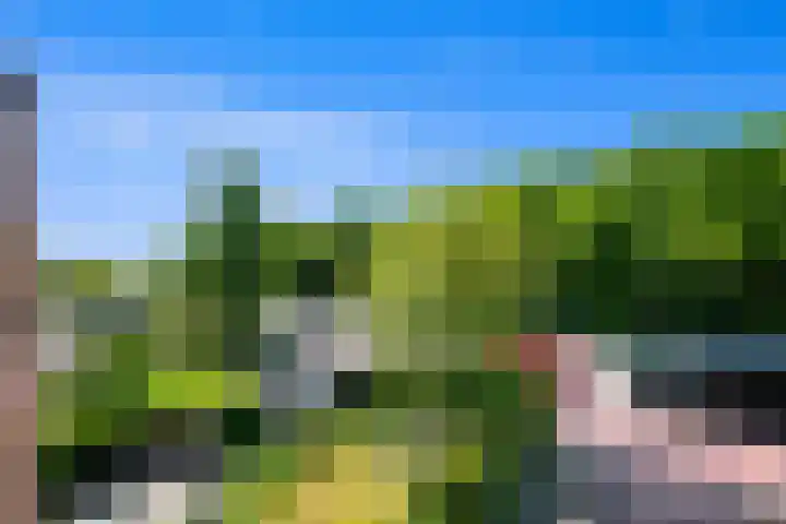 Haagweg 115 Monster thumbnail 44