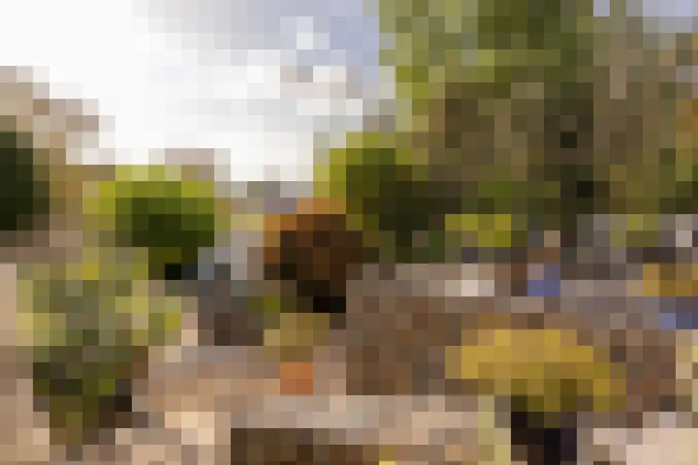 Haagweg 121 Monster thumbnail 10