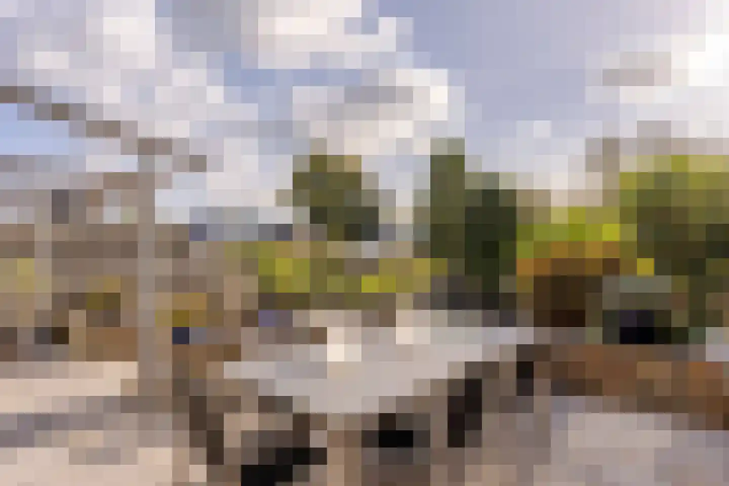 Haagweg 121 Monster thumbnail 13
