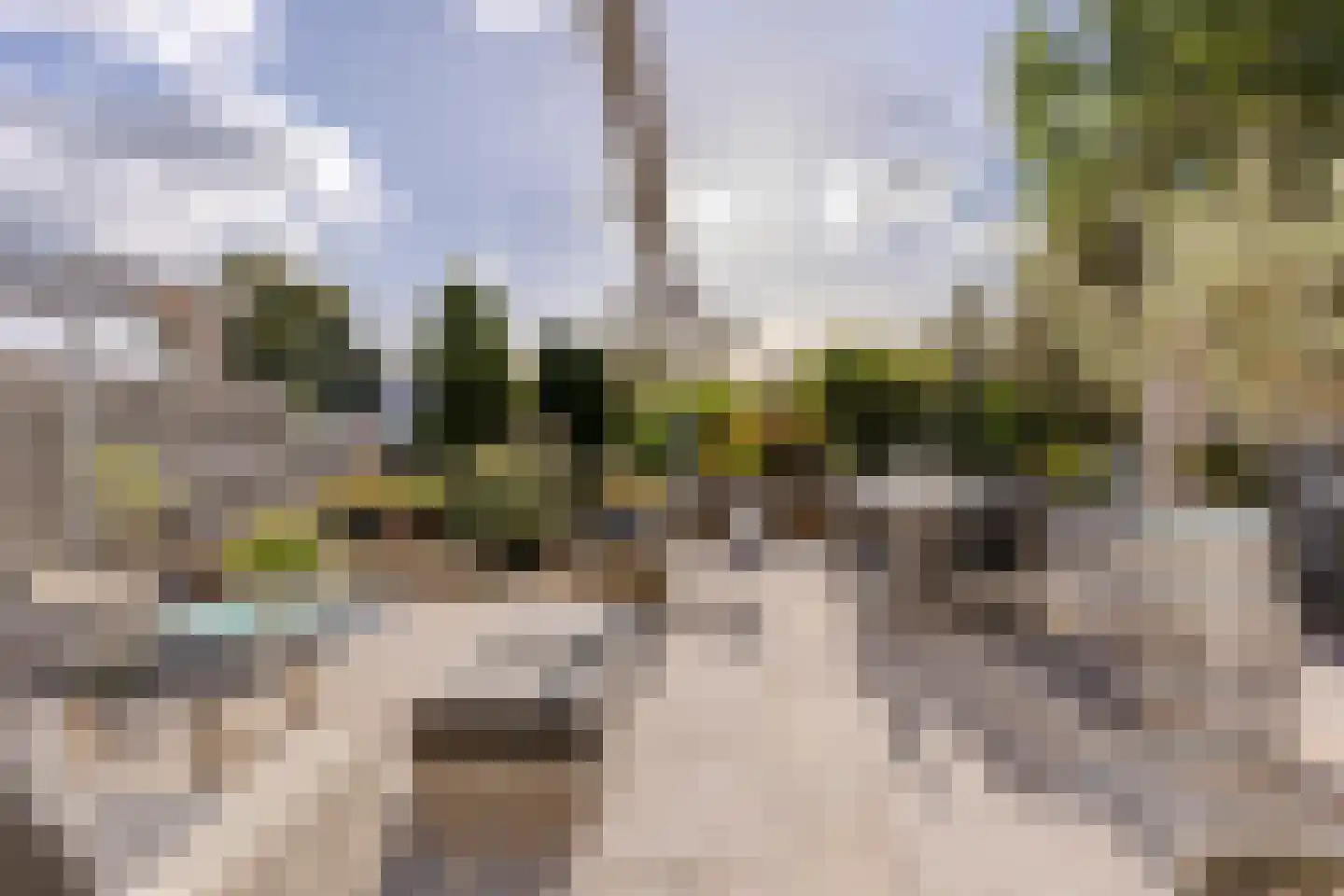 Haagweg 121 Monster thumbnail 16