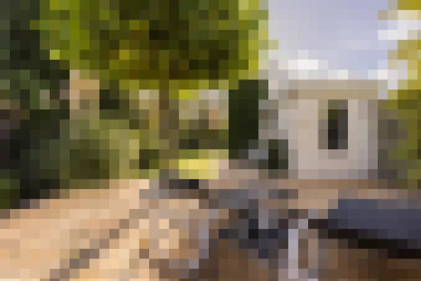 Haagweg 121 Monster thumbnail 17