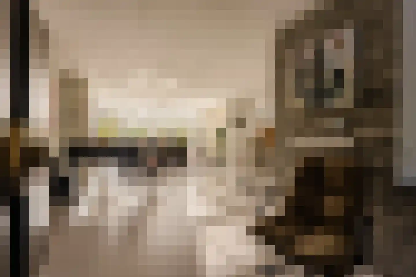 Haagweg 121 Monster thumbnail 23