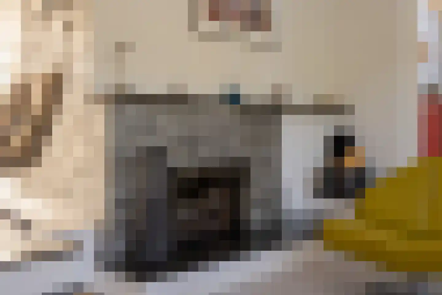 Haagweg 121 Monster thumbnail 27