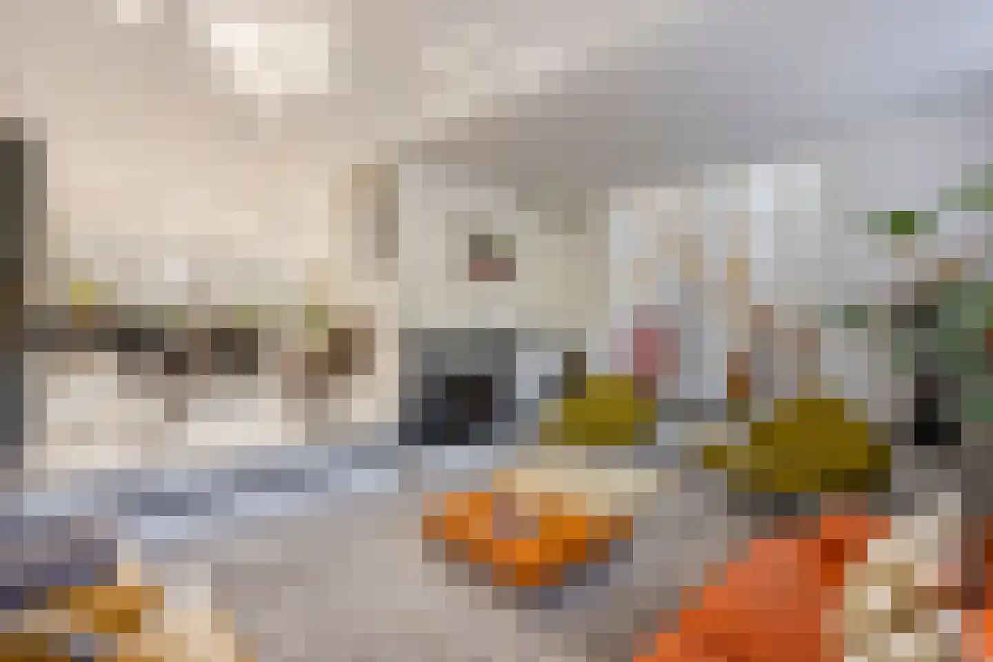 Haagweg 121 Monster thumbnail 31