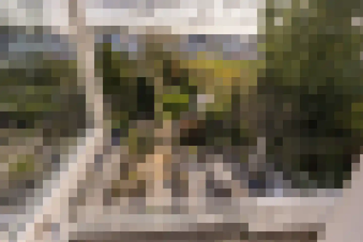 Haagweg 121 Monster thumbnail 7