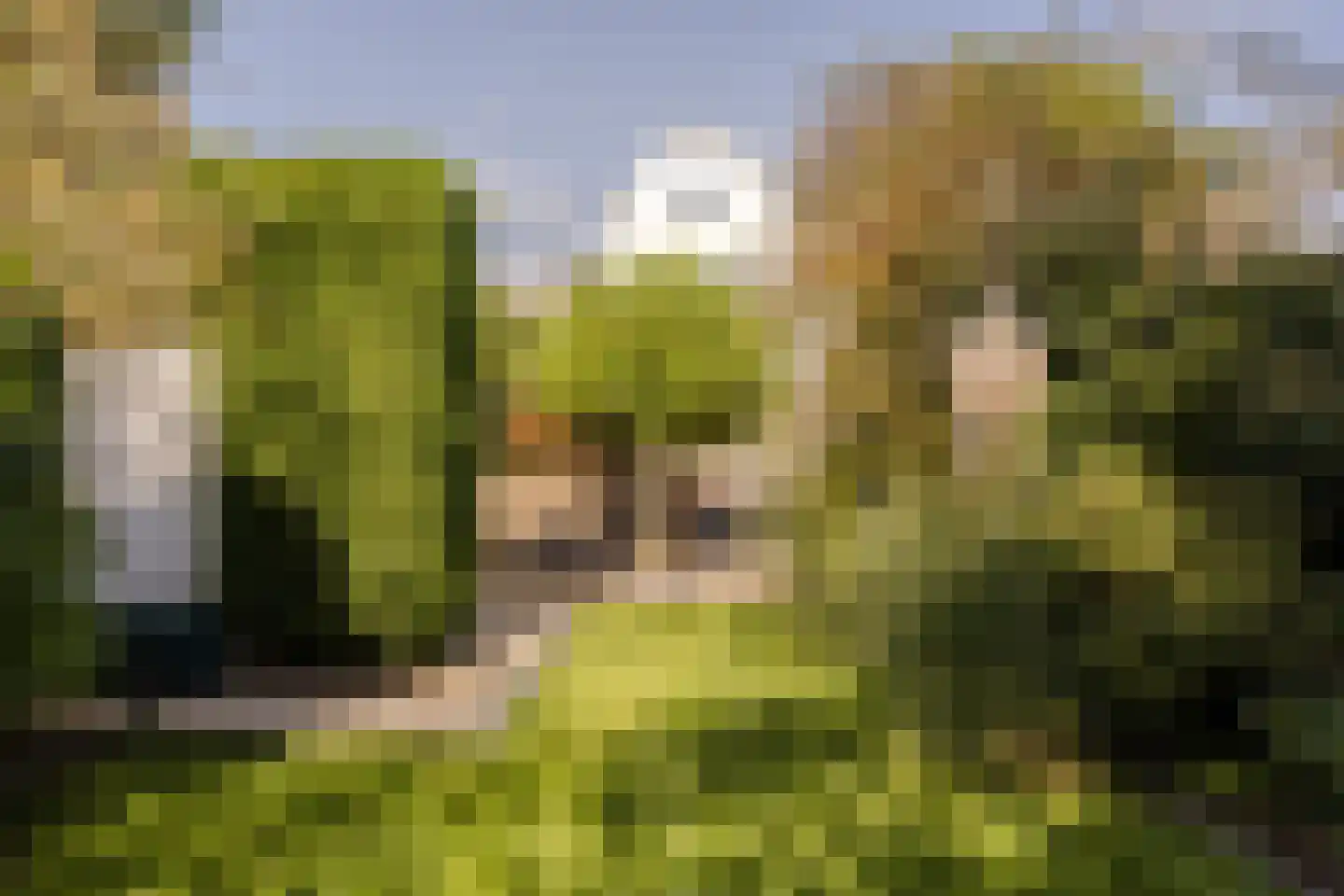 Haagweg 121 Monster thumbnail 8