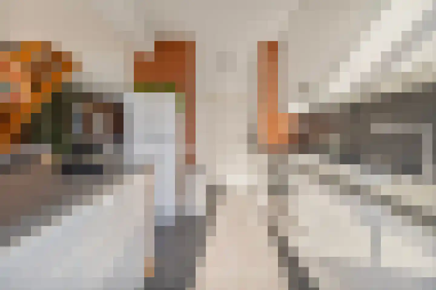 Haagweg 13 Limbricht thumbnail 14
