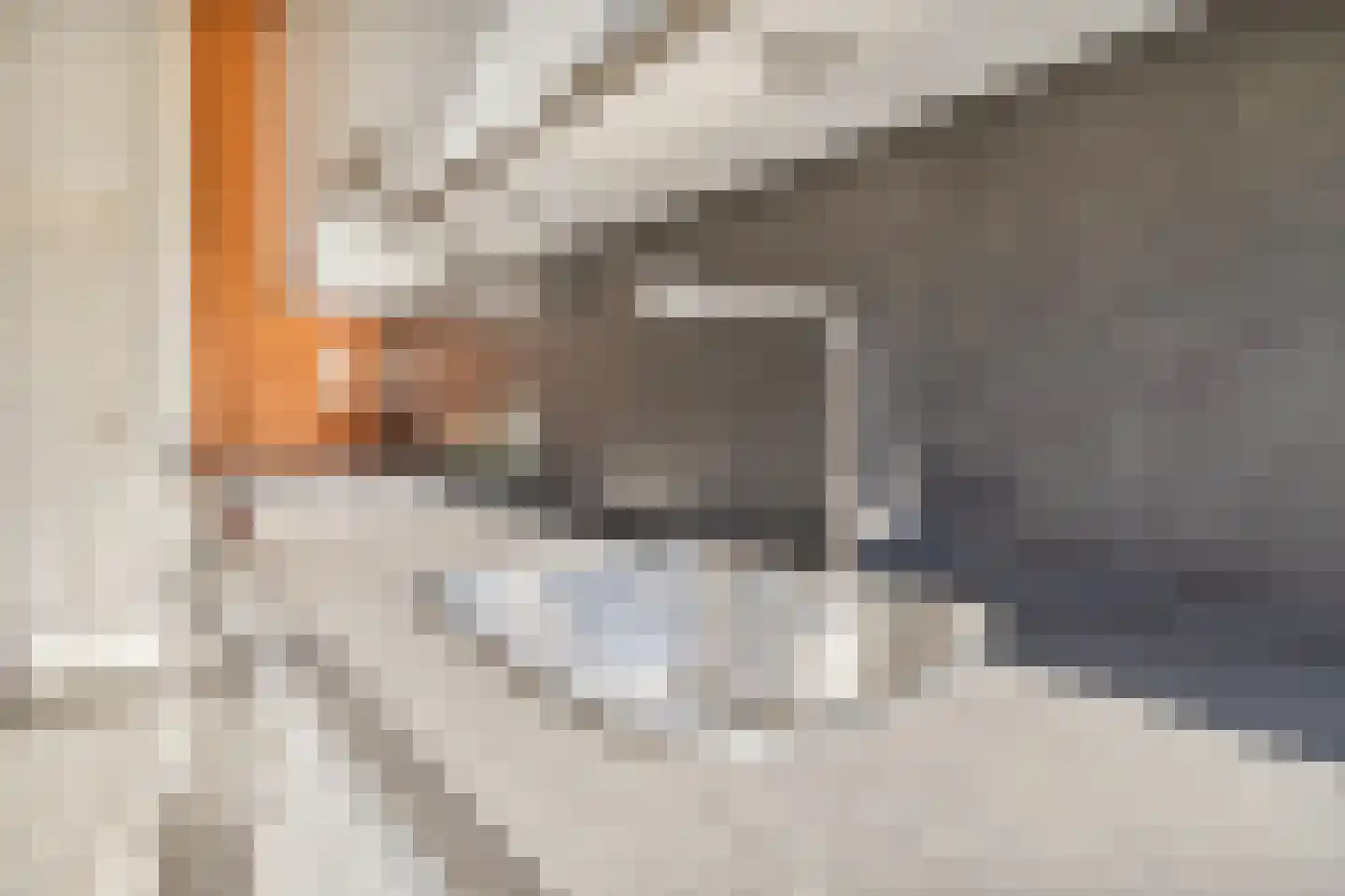 Haagweg 13 Limbricht thumbnail 16