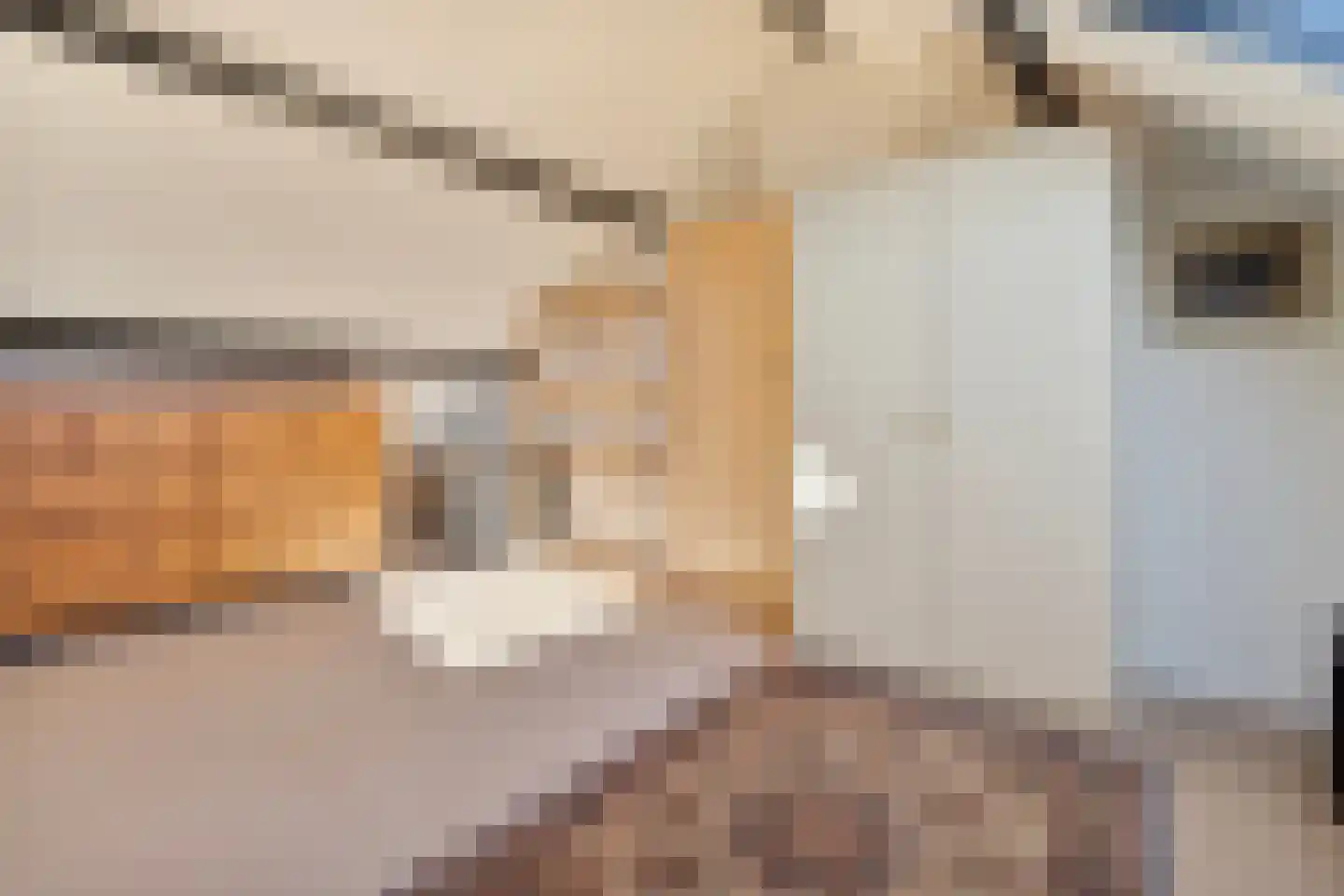 Haagweg 13 Limbricht thumbnail 27