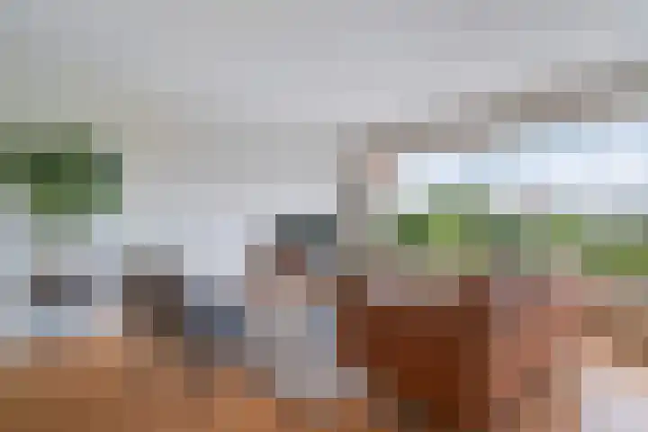 Haagweg 130 Leiden thumbnail 17