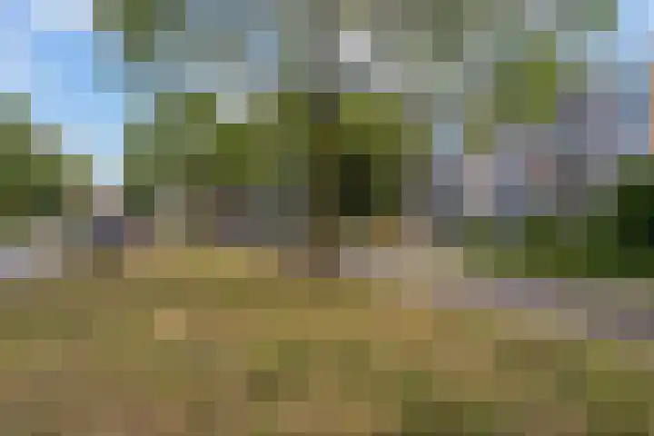 Haagweg 130 Leiden thumbnail 5